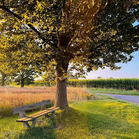 아파트 Ostseehuus Ii 스타인베르크